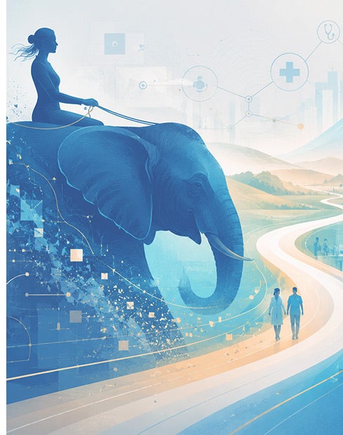 Elephant and rider