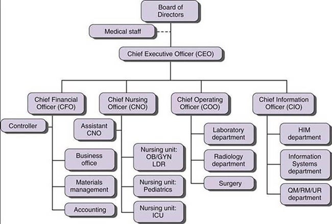 Sample organizational chart including chief nursing officer
